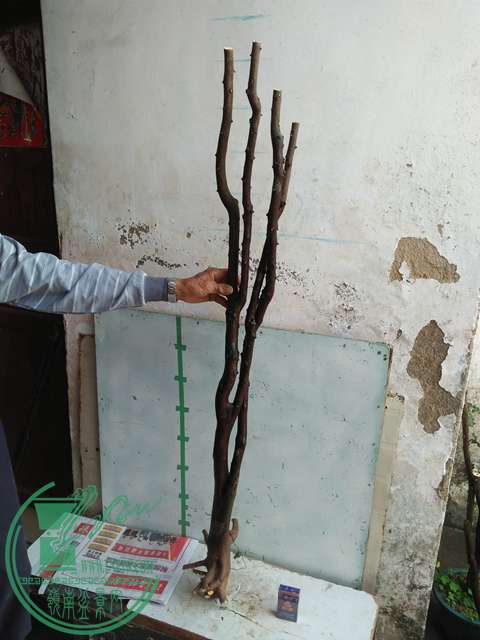 IMG20170111105700.jpg