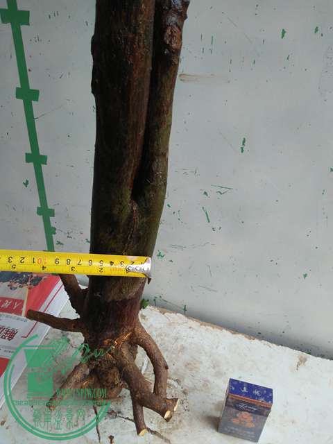 IMG20170111105707.jpg