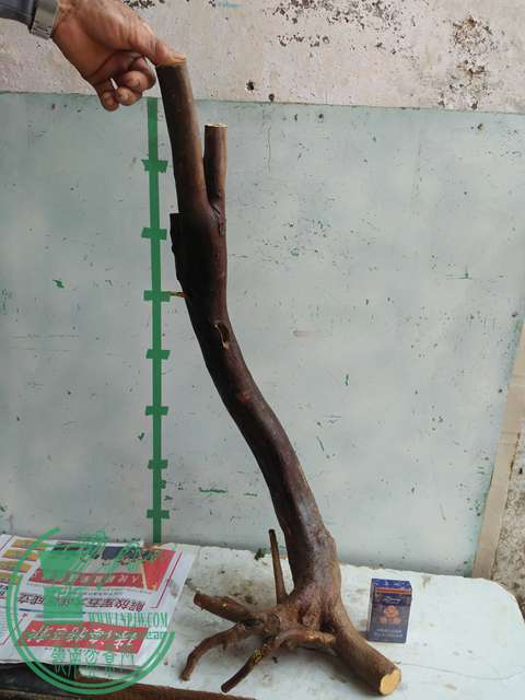 IMG20170111105921.jpg