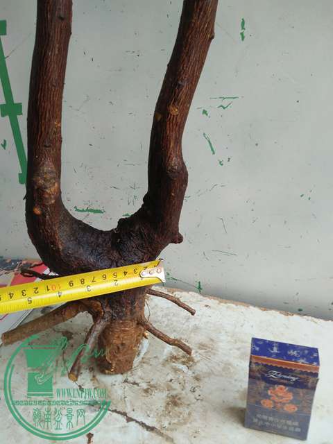 IMG20170111110032.jpg