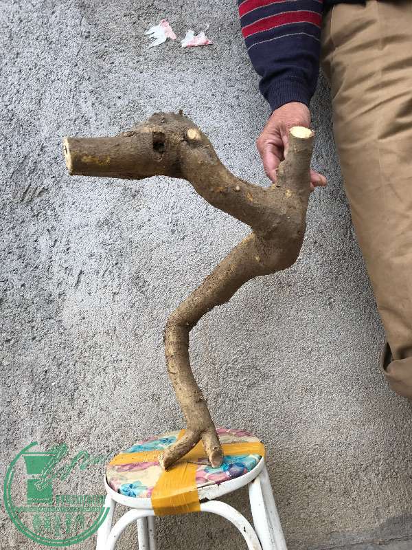 852114