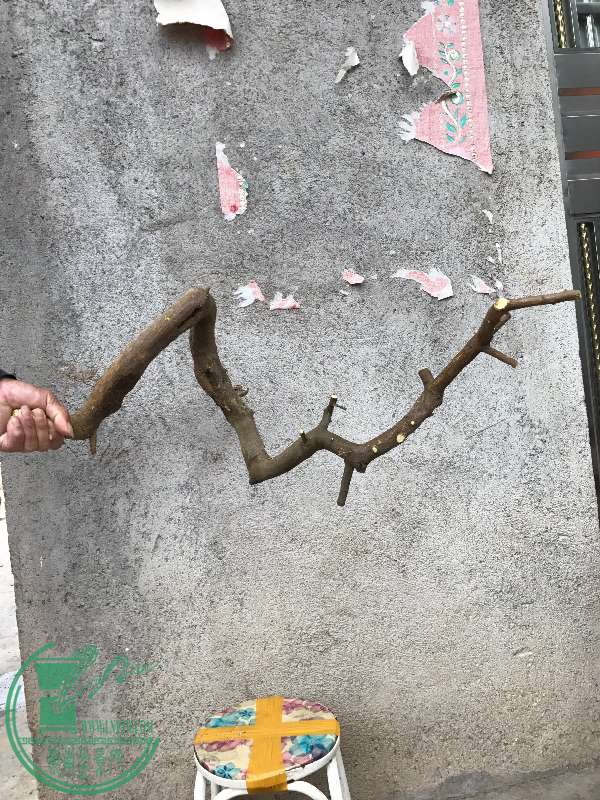 852117