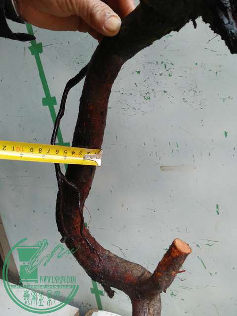 IMG20170112100426.jpg