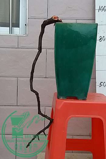 20170112_174110_mh1484221260392.jpg