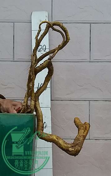 20170112_174511_mh1484221389510.jpg