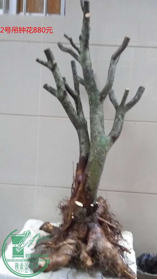 P70112-173725_.jpg