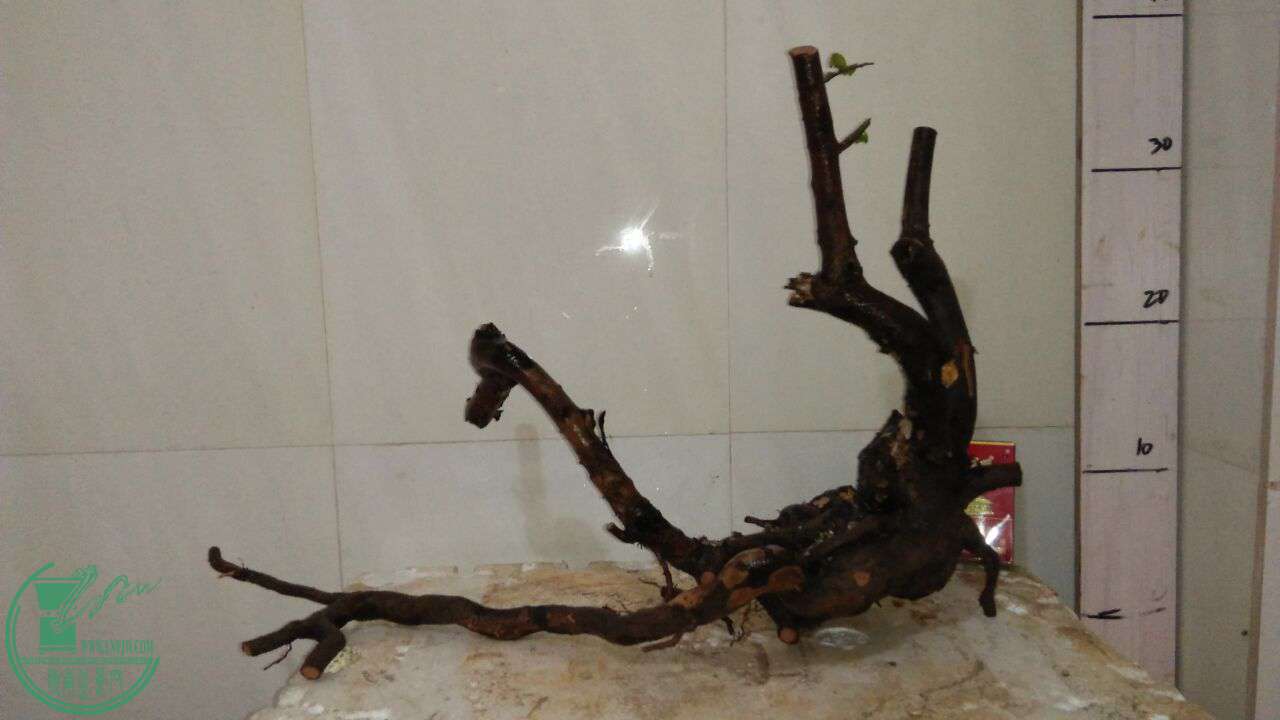 QQͼƬ20170113203231.jpg