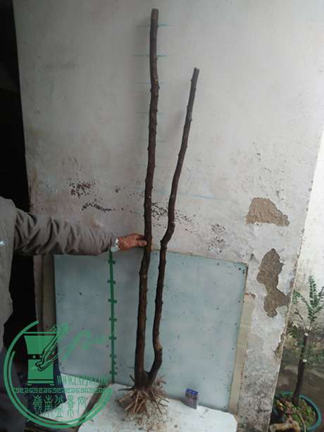 IMG20170113141807.jpg