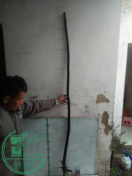 IMG20170113141446.jpg