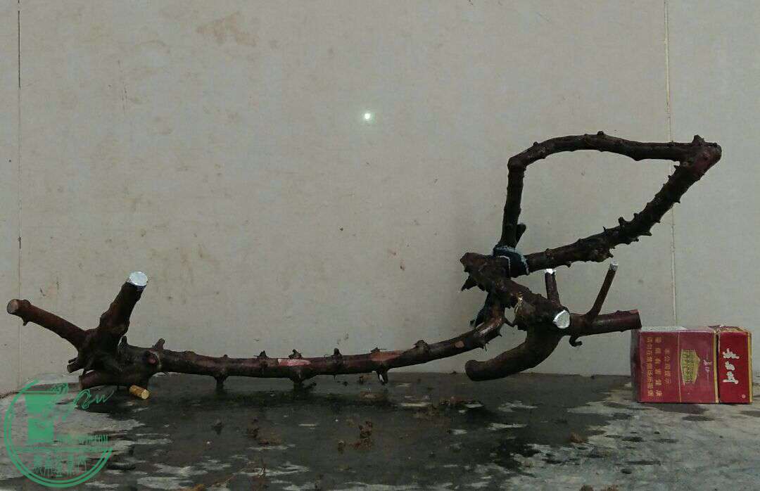 QQͼƬ20170114184732.jpg