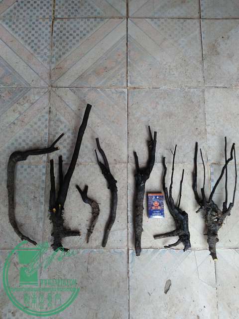 IMG20170114122733.jpg