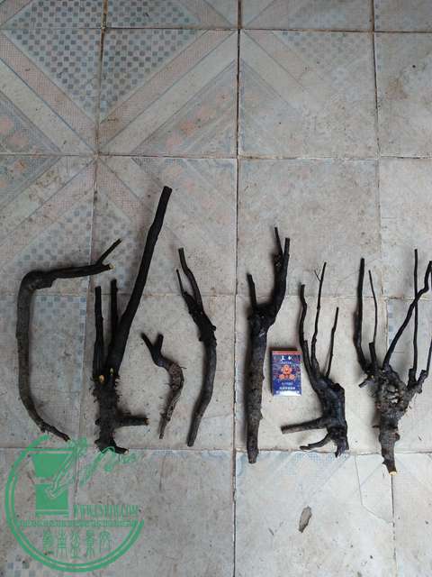 IMG20170114122734.jpg