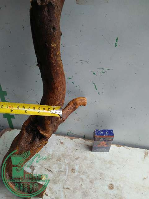 IMG20170114124806.jpg