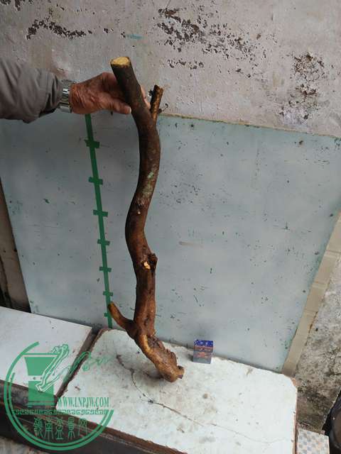 IMG20170114124813.jpg