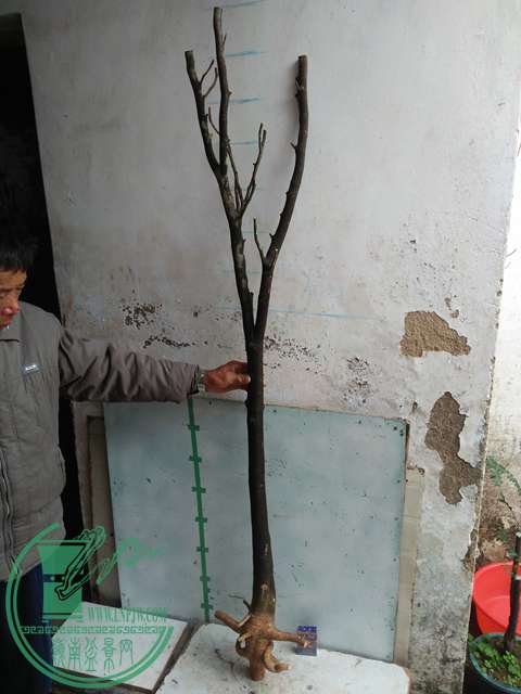 IMG20170114124831.jpg