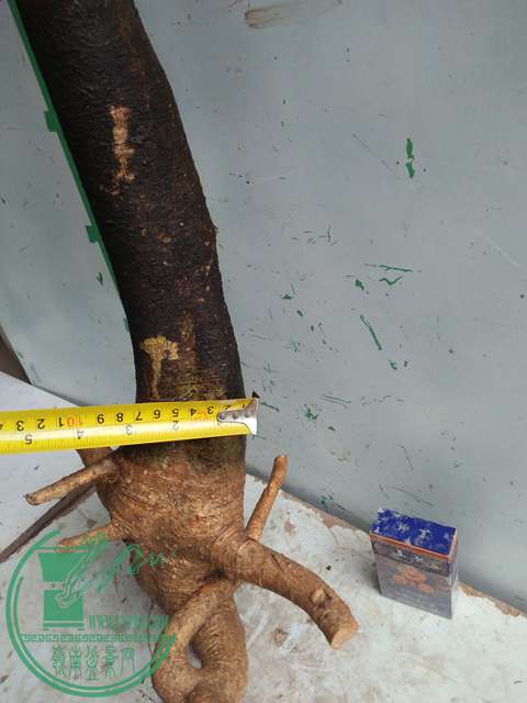 IMG20170114124839.jpg
