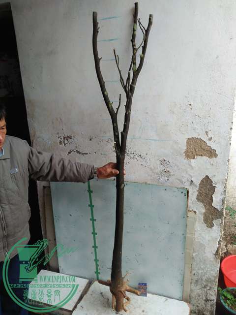 IMG20170114124848.jpg