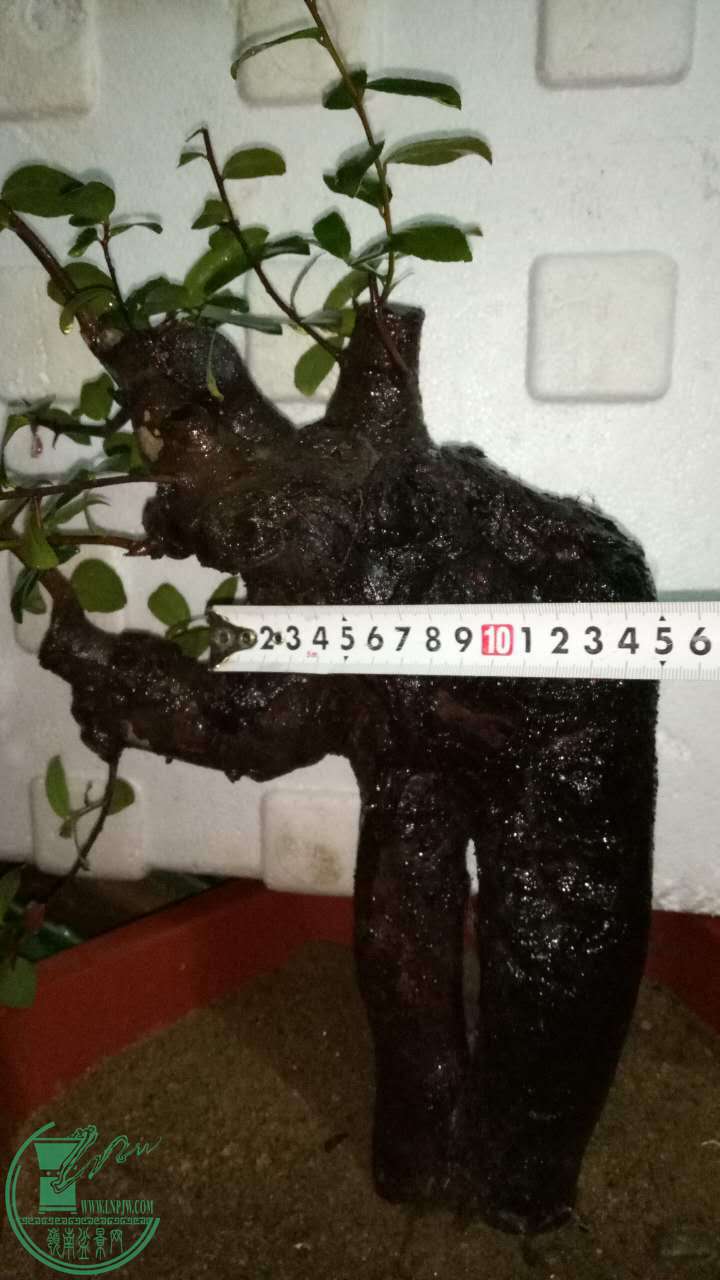 411903407554633151.jpg