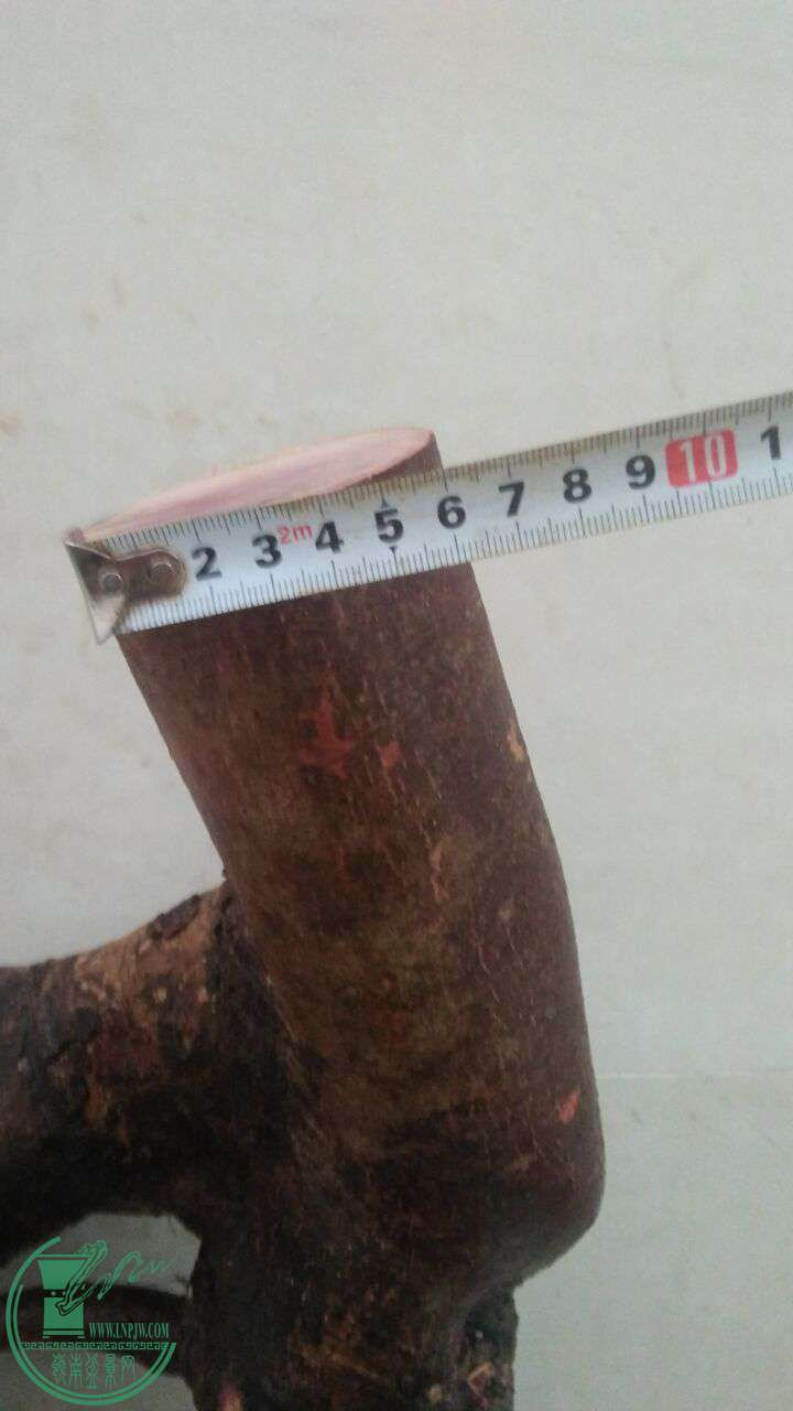 QQͼƬ20170115192437.jpg