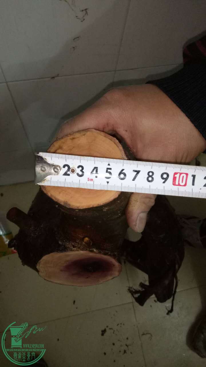 398364504492530210.jpg