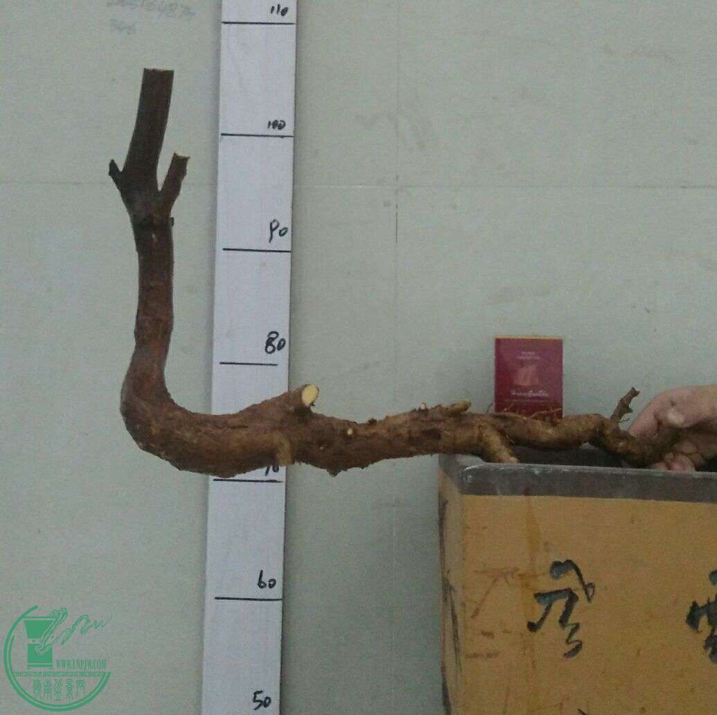 QQͼƬ20170115192613.jpg