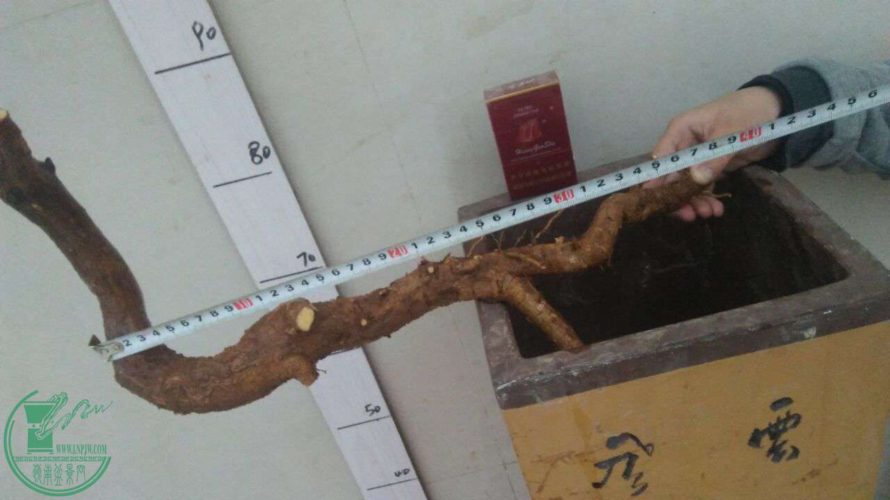 QQͼƬ20170115192603.jpg