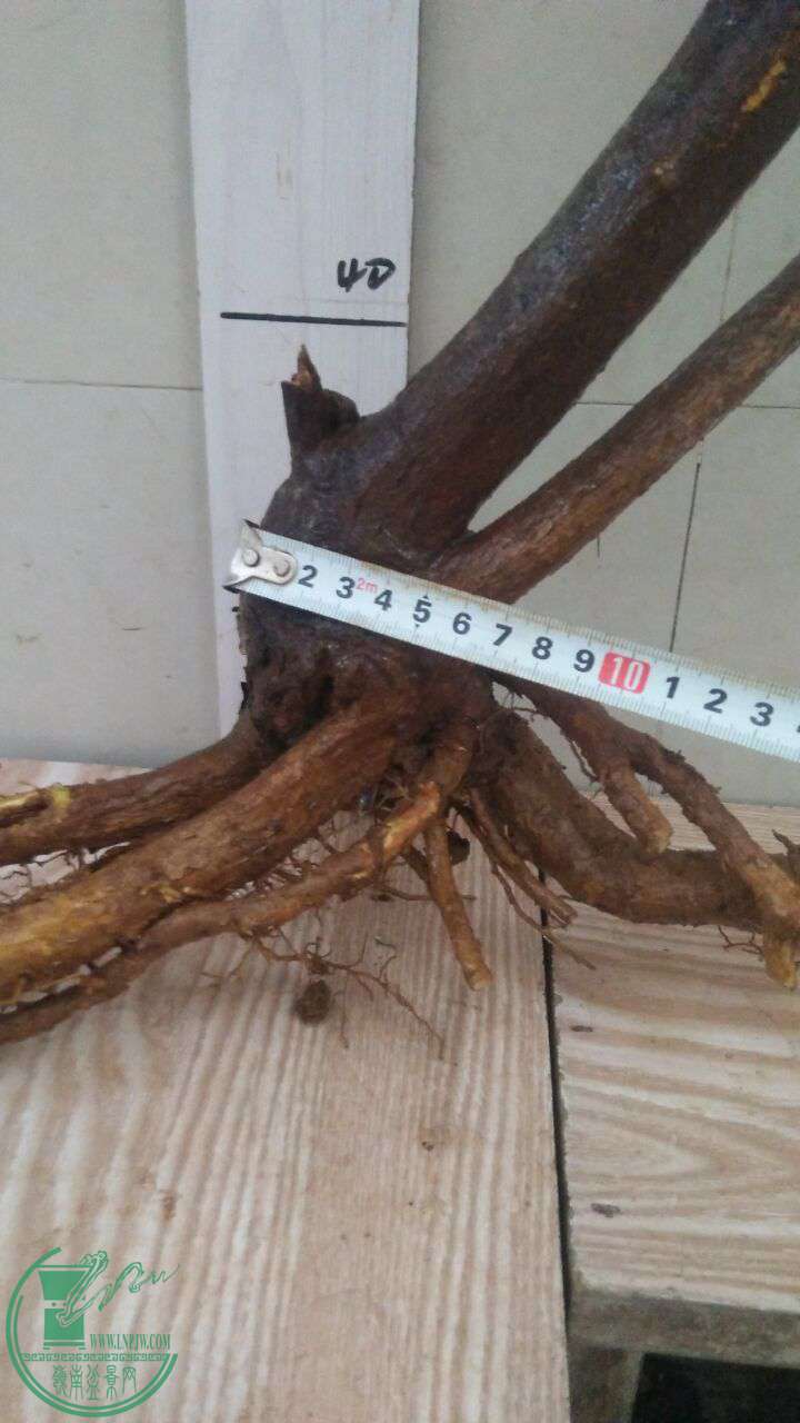 QQͼƬ20170115192718.jpg