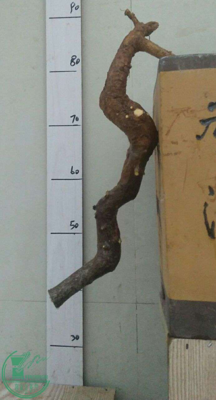 QQͼƬ20170115192618.jpg