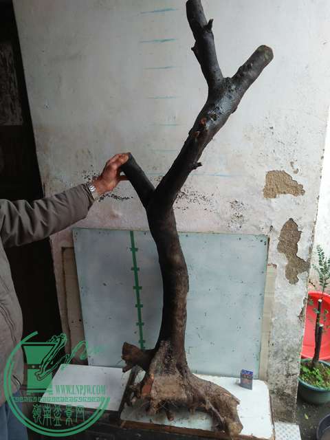 IMG20170115125957.jpg