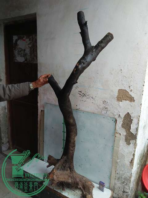 IMG20170115130027.jpg
