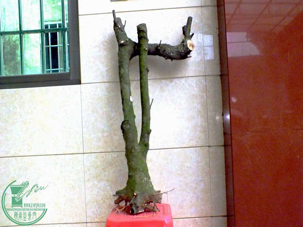 001.JPG