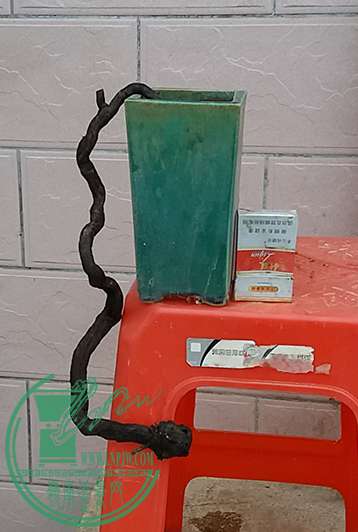 20170116_173506_mh1484563103549.jpg
