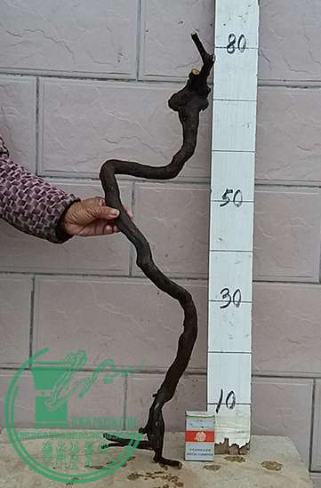 20170116_171921_mh1484562649913.jpg