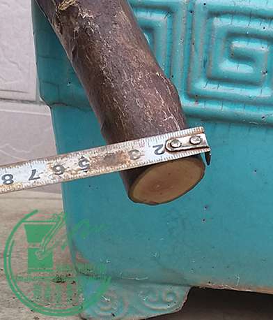20170116_094928_mh1484535691589.jpg