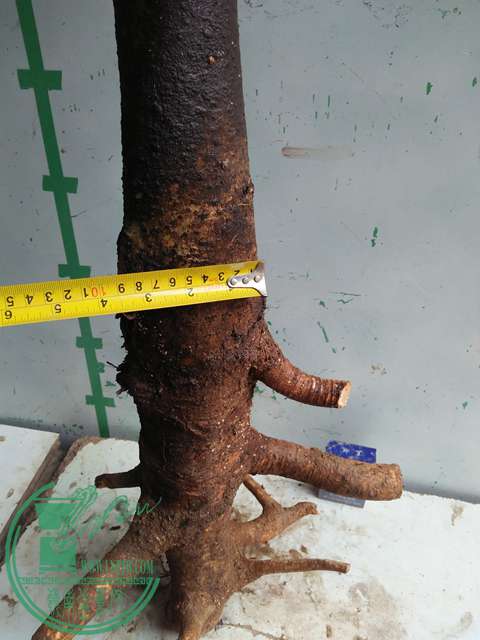 IMG20170116123324.jpg