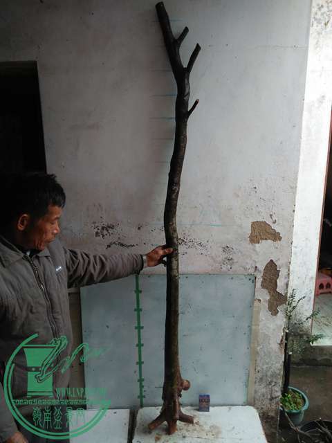 IMG20170116123413.jpg