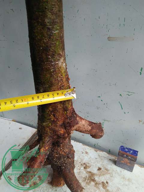 IMG20170116123422.jpg