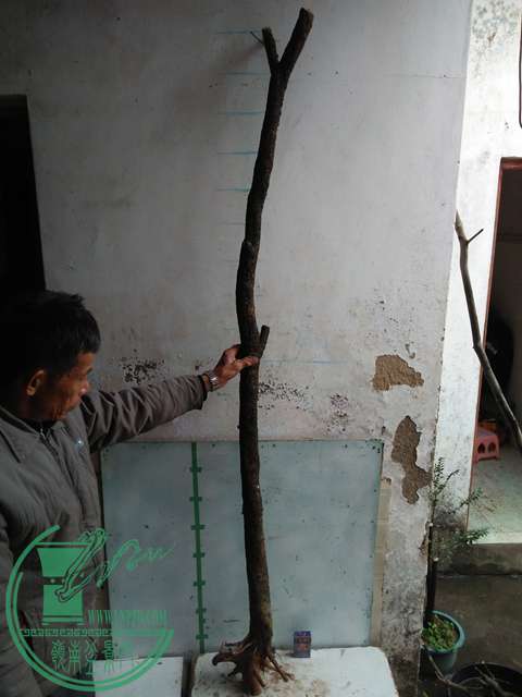 IMG20170116123526.jpg