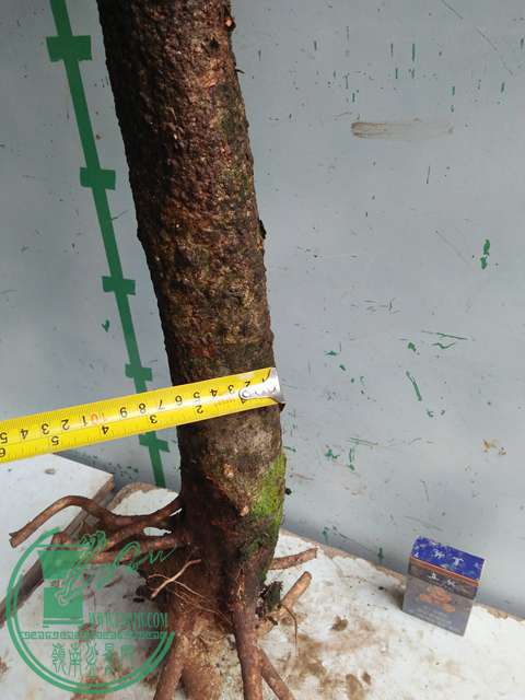 IMG20170116123535.jpg