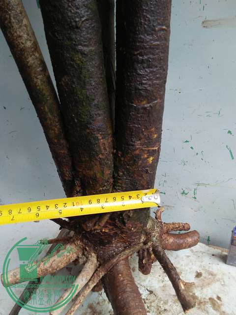 IMG20170116123618.jpg