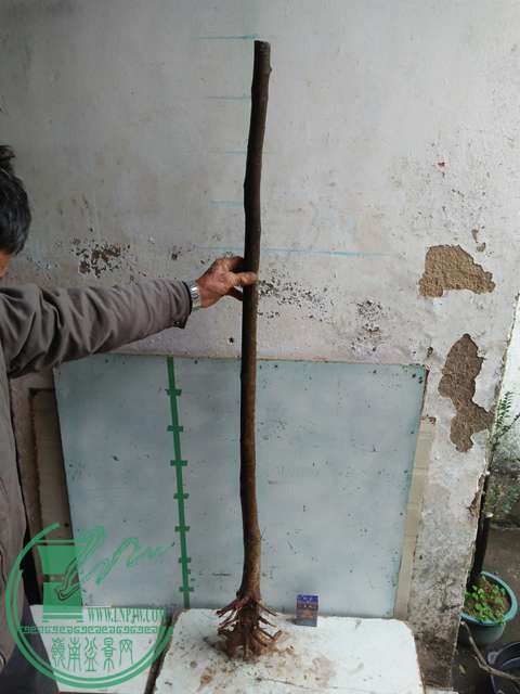IMG20170116123712.jpg