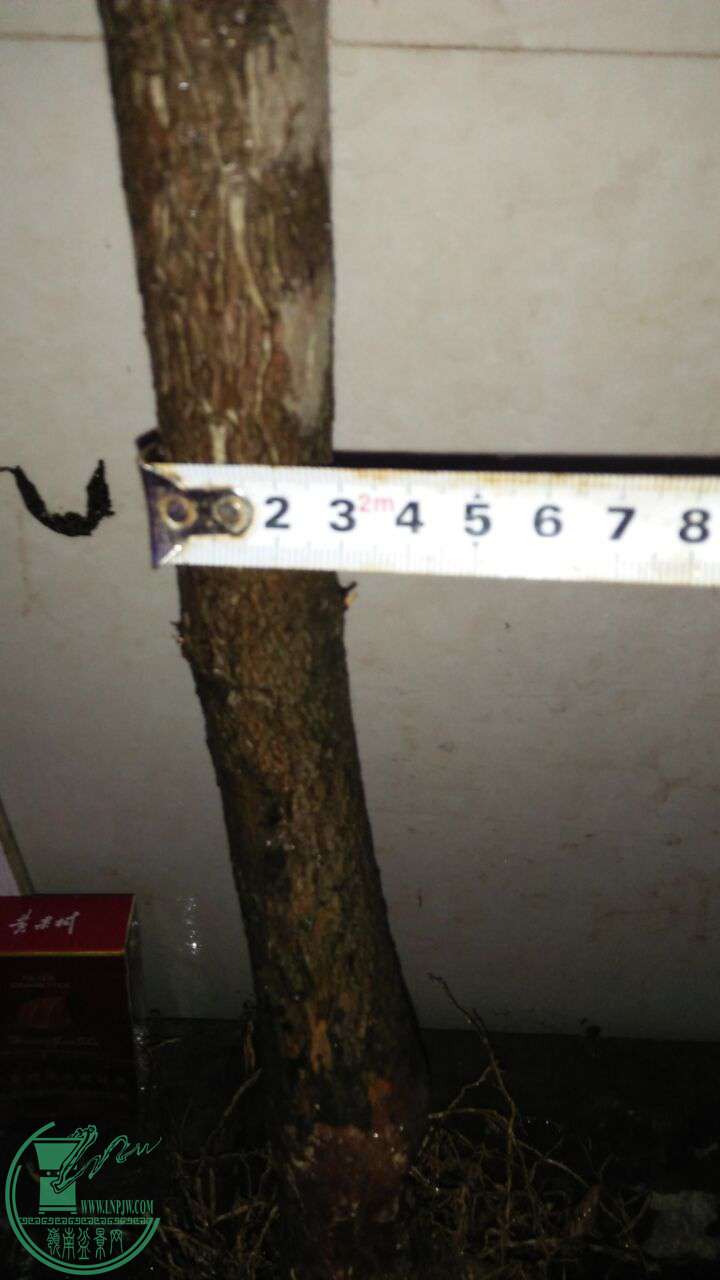 QQͼƬ20170116210704.jpg
