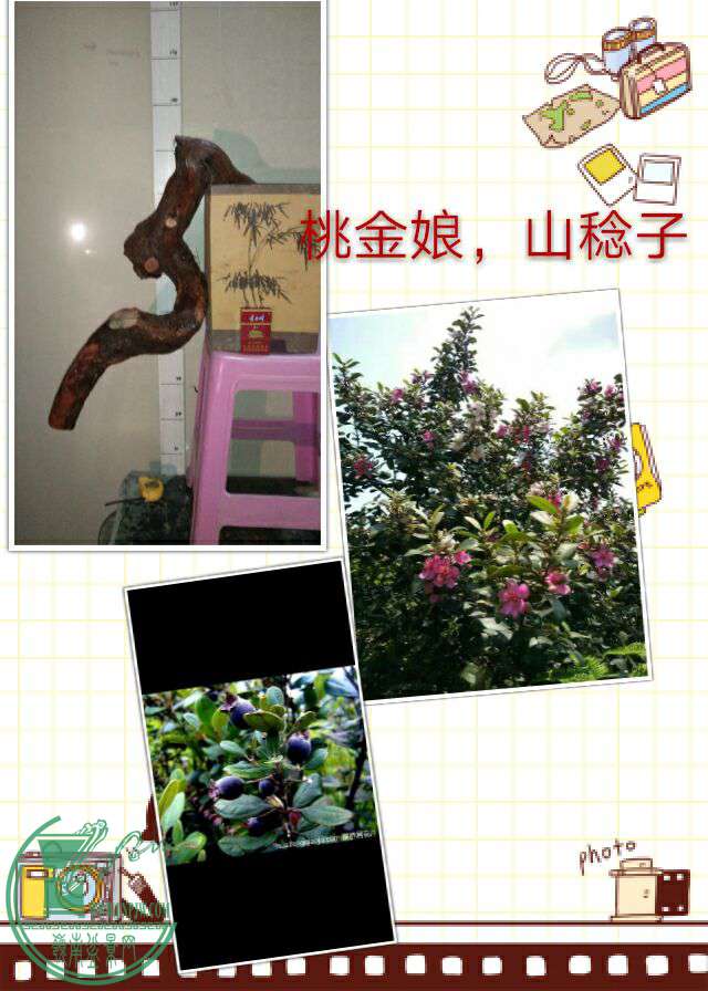QQͼƬ20170116210714.jpg
