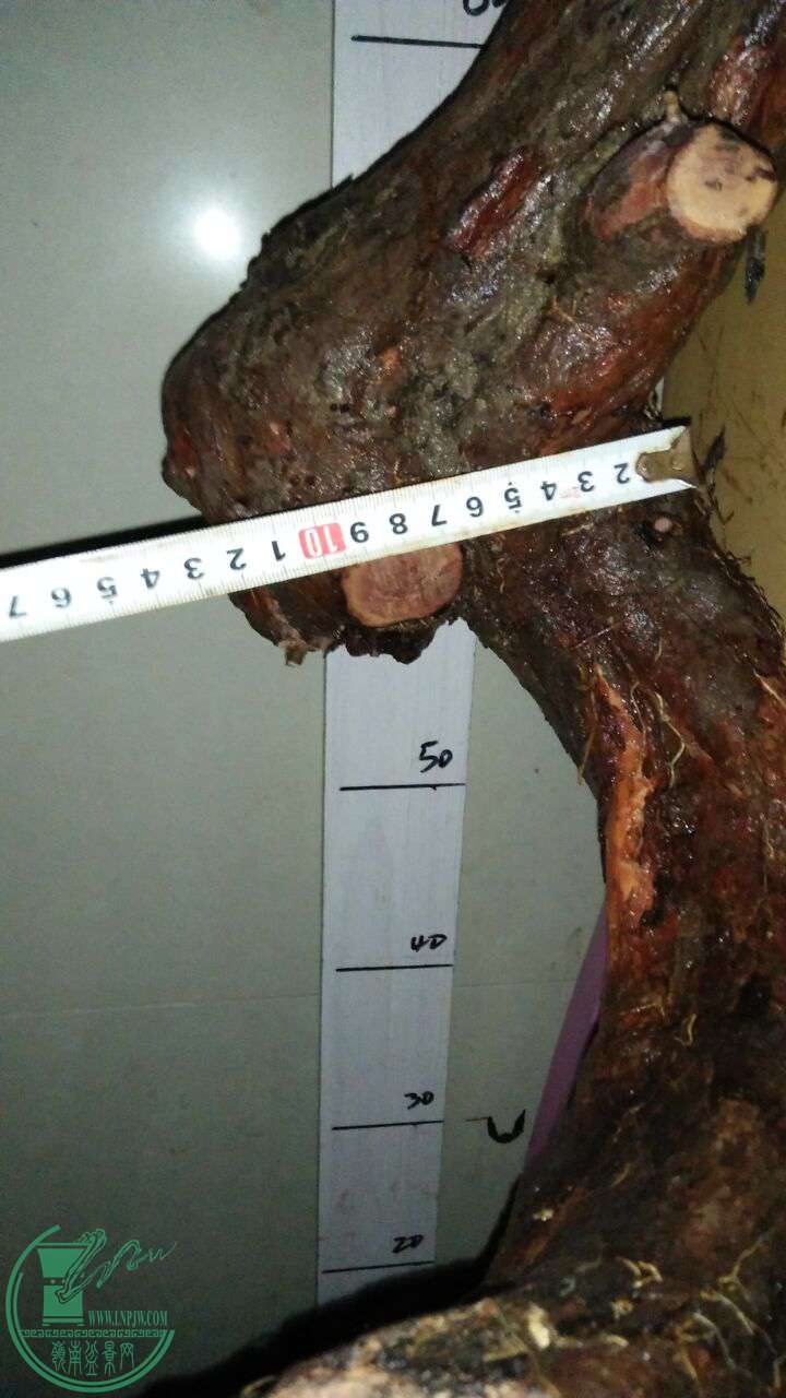 QQͼƬ20170116210734.jpg