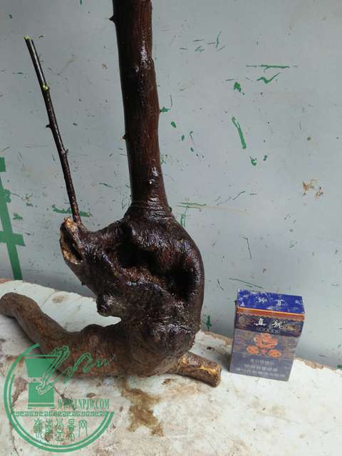 IMG20170116122928.jpg