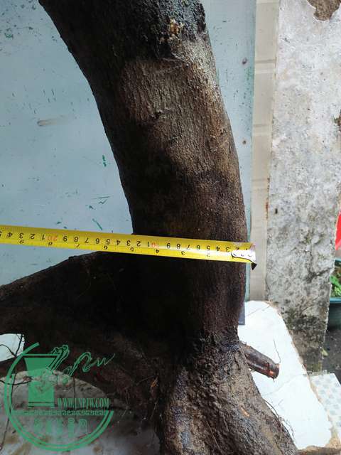 IMG20170115125931.jpg