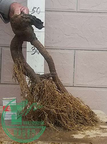 20170117_091003_mh1484619725267.jpg
