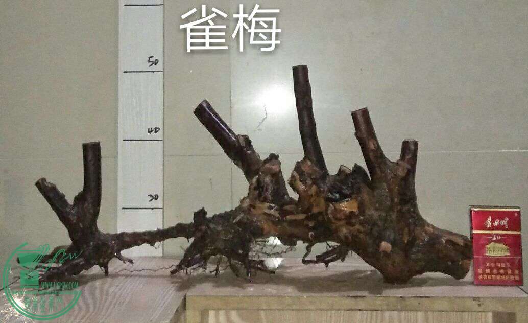 QQͼƬ20170118211904.jpg