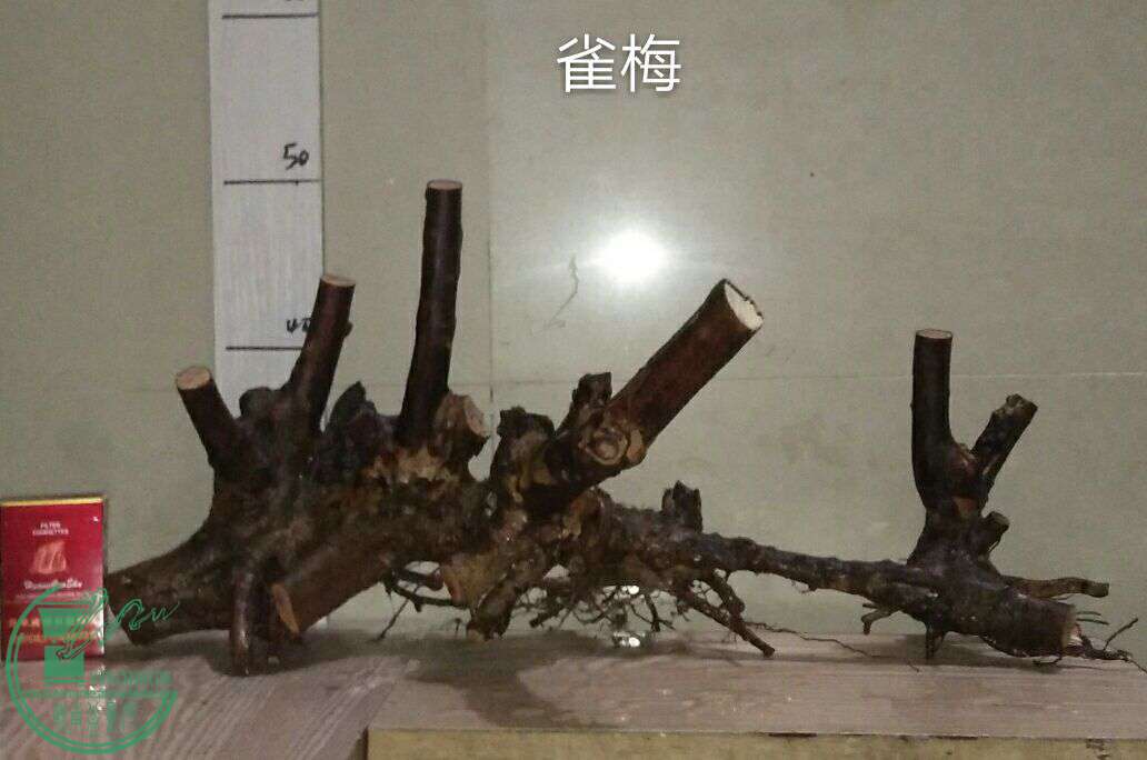 QQͼƬ20170118211857.jpg