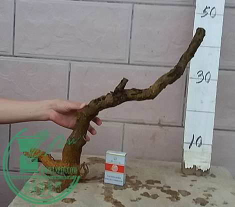 20170118_181019_mh1484737556835.jpg
